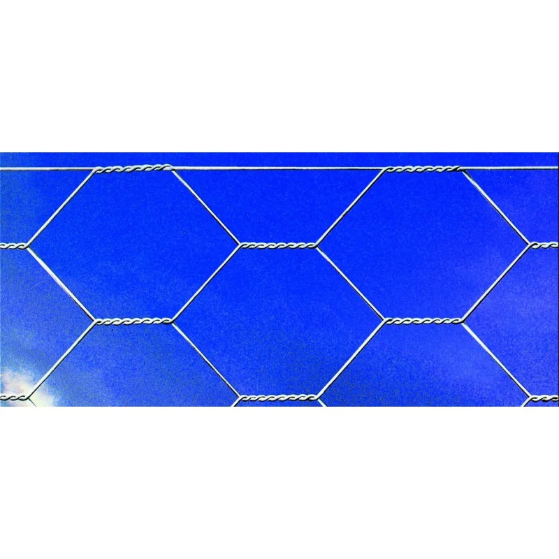 2026_05_20_309806